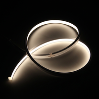 Tira de LED de Silicona de Neón 1010 de Alta Eficiencia, Ahorro de Energía, Brillo Uniforme sin Puntos para Fachadas de Edificios y Decoración Comercial