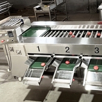 YouBan Food Grade Roller Type Sorteermachine voor bieten, fruit en groenten op maat