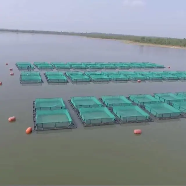 Gaiola de peixe piscicultura qihang hdpe