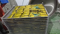 Machine industrielle de stérilisation à la vapeur d'autoclave de cornue de pression pour des poches