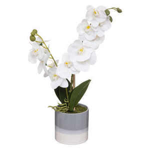 ORCHIDÉE AVEC POT H 45CM - Product Image 1