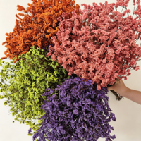 Rumput Kristal Awet untuk Proyek DIY, Rangkaian Bunga Caspea Ukuran Khusus, Pernikahan, Wisuda, Bahan Buket Rumah Tangga
