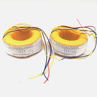 Transformador Toroidal de Onda Sinusoidal Pura Personalizado de 1000W 2000W 3000W 5000W, Amplificadores de Audio, Autotransformador
