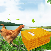 Caisse de Transport en Plastique pour Volaille, Poulets, Canards, Oies, Pigeons, Blanc Orange Jaune