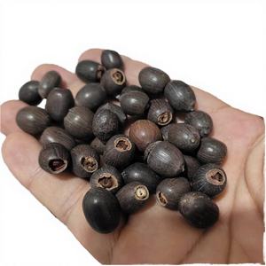 Graines de lotus brunes séchées brutes à floraison permanente pour culture hydroponique en eau - Offre spéciale - Product Image 3