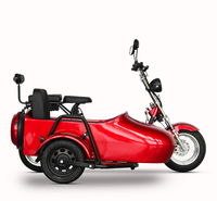 Vélo de banlieue à 3 roues avec side-car, moto électrique, batterie au lithium, 60V 2000W, vitesse maximale 45 km/h, autonomie 60 km, certifié EEC DOT