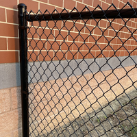 100ft Gegalvaniseerd Zwart Pvc Gecoate Kettingschakel Cycloon Gaas Hek Paneel Kettingschakel Voor Sportspel