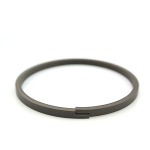 DLSEALS Factory Wholesale &amp; Sales PTFE <strong>Piston</strong> Wear <strong>Ring</strong> - Self-Lubricating for Industrial Compressor &amp; Air Compressor - Product Image 1