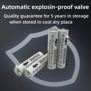 Wholesale 1.5V LR03 AAA Alkaline <strong>Battery</strong> <strong>Dry</strong> Cell <strong>Battery</strong> Aaa Am4 Lr03 Alkaline <strong>Battery</strong> - Product Image 5