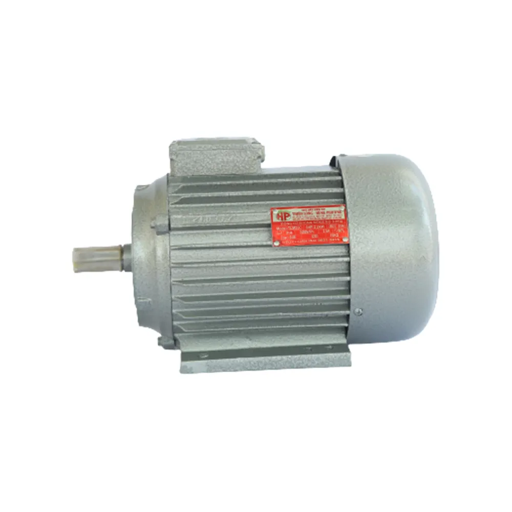 220V Elektrische Motor Eenfase Zware Condensator Start Asynchrone Motor 2.2 Kw