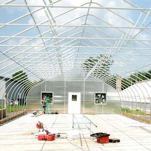 Serre arquée Poly Tunnel Green House Serres agricoles Vente d'occasion - Product Image 6