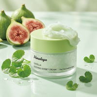 Crème Sorbet Apaisante et Réparatrice OEM/ODM à la Centella, Niacinamide Hydratante et Apaisante, Soin Après-Soleil, Hydratant Visage