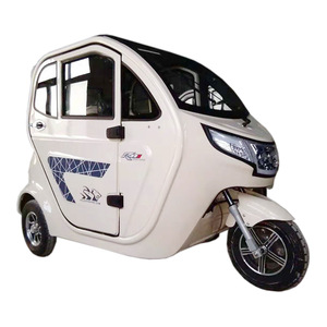 Electric Tricycle Closed 48V <b>2</b> Seater <b>Passenger</b> Use - Product Image 1