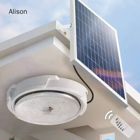 Lumière de plafond alimentée par panneau solaire 100W 200W 400W LED pour intérieur, extérieur, chambre, cour, garage, atelier commercial Alison