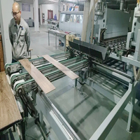 Feuille de marbre en pierre de PVC faisant la machine