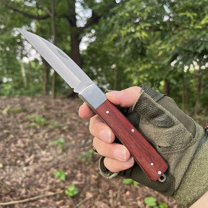 سكين تطعيم منزلي احترافي من الفولاذ المقاوم للصدأ قابل للطي، أدوات حدائق خشبية، منتجات ألمانية معاد تدويرها - Product Image 5