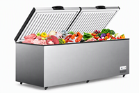 Congélateur horizontal commercial grande capacité à ouverture par le haut WKN BD-350, congélateur profond certifié CE/CB, contrôle électronique, fabrication OEM