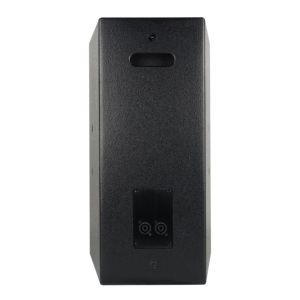 ROVAPA 10インチ 2ウェイ PAスピーカー：定格出力250W、最大音圧レベル127dB、感度98dB、指向角度90°x60°、多目的会場の音響強化に対応 - Product Image 5