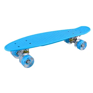 22 Inch Colorful Classic Cruiser Complete Skateboard Teenager Cool Street Style Skateboard