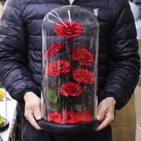 Yunnan pabrik bunga mawar diawetkan kepala mawar besar dalam kubah kaca Hari Valentine & hadiah natik-disesuaikan warna & Logo 20x40CM