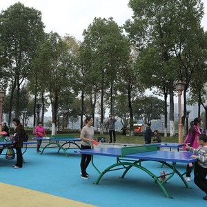 Bán buôn Donic bóng bàn ngoài trời không thấm nước giá rẻ <span class=keywords><strong>ping</strong></span> <span class=keywords><strong>pong</strong></span> bảng làm bằng vật liệu SMC - Product Image 3