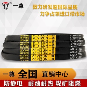 Correa de transmisión YIZUN V-Belt A70Lw 1753 Li resistente al aceite, antiestática, para plantas de fabricación - Product Image 3