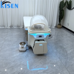 Kisen Portable Back Wash Table Hair Wash <b>Bed</b> Pipeless Removable Basin with Head Spa Therapy Water <b>Heater</b> for Home Use - Product Image 6