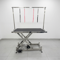 Table vétérinaire électrique pliable en acier inoxydable réglable en hauteur, légère et mobile, pour chiens et chats