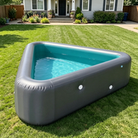 Piscine gonflable de jardin, épaisse, avec technologie Drop Stitch, pour adultes et enfants, anti-fuite, portable, pliable, pour la famille