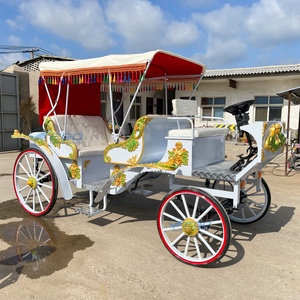 Xuchang EGO 2026, Carroza Eléctrica Personalizada de Alta Calidad, Escultura de Lujo, Transporte Especial para Turismo, Henan - Product Image 3