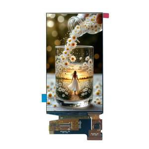 6 ''6 <span class=keywords><strong>inch</strong></span> AM OLED hiển thị bảng điều khiển oncell Touch Panel 1080x2160 ch13721cg1 mipi giao diện đầy đủ màu sắc AM OLED hiển thị - Product Image 1