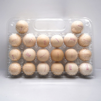 Vente en gros de barquettes à œufs en plastique transparent CPET légères, boîtes de rangement sécurisées pour œufs, emballage blister pour élevages de poulets