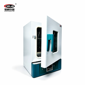 OEM 110V Screen Printing Electric Circulation Drying Oven For Laboratory Chemical Lab Experiments