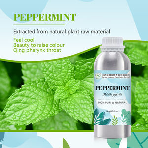 Aceite esencial orgánico de menta <span class=keywords><strong>para</strong></span> la piel, cabello-100% extracto de hoja de menta Piperita DE MENTHA natural puro | Mayorista a granel 1kg - Product Image 3