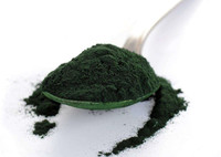 Poudre de spiruline biologique en comprimés, meilleur prix, poudre de spiruline
