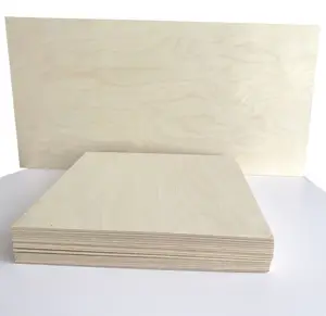 30*30cm Size Thickness 12 inch BassWood Custom Shapes Plywood Disk Blank Wood Signs For Drawing
