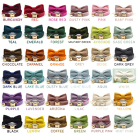 Ensemble collier et laisse pour chat en velours de luxe, avec nœud papillon et clochette, plusieurs couleurs unies et couleur personnalisée disponible, vente en gros