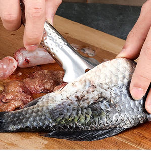 Descamador de Pescado de Acero Inoxidable con Mango - Rallador Multiusos de Cocina, Herramienta Eficiente para un Uso sin Esfuerzo - Product Image 3