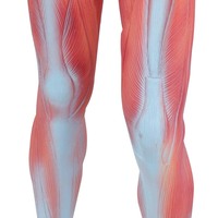 Modèle d'enseignement du corps humain complet Maihun, modèle d'anatomie musculaire pour la dissection, 85 cm, en PVC