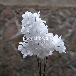 Hydrangea artificiel Secret Garden à trois têtes, fleur en soie blanche, décoration de mariage, décoration de la maison - Product Image 1