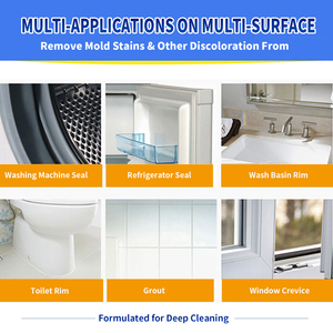 Gel Nettoyant Moussant Professionnel Anti-Moisissure Série Pro, Élimine les Traces <span class=keywords><strong>de</strong></span> Moisissure Tenaces sur les Joints, les Groutings et le Silicone, 200ml - Product Image 5