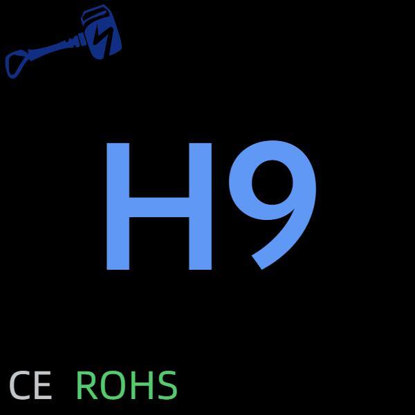 H9