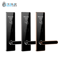 Sécurité électronique Serrure automatique en acier inoxydable 304 Logiciel gratuit Serrure intelligente sans clé pour hôtel pour porte en bois
