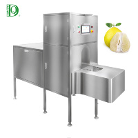 DQ Guangzhou Daqiao Industriële Geïntegreerde Pomelo Groente Schil- en Snijmachine Set Automatisering Fruit Groente