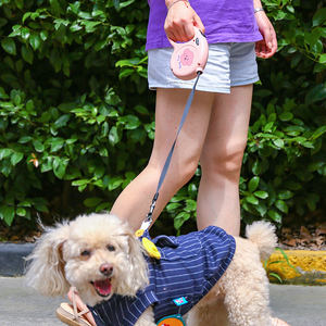 Stampa carina corda di trazione automatica 5M cartone animato forte manico morbido guinzaglio retrattile per cani per cane gatto barboncino Training Running - Product Image 6