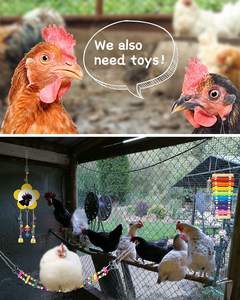 Poulailler Cage pour animaux de compagnie accessoires jouets oiseaux jouets miroir interactif filet de légumes sac échelle en pierre à mâcher en forme de <span class=keywords><strong>Piano</strong></span> - Product Image 2