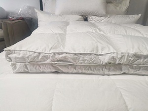 <span class=keywords><strong>Surmatelas</strong></span> épais personnalisé <span class=keywords><strong>en</strong></span> <span class=keywords><strong>duvet</strong></span> <span class=keywords><strong>de</strong></span> <span class=keywords><strong>canard</strong></span> <span class=keywords><strong>et</strong></span> d'oie, doux, à prix d'usine, pour la maison <span class=keywords><strong>et</strong></span> l'hôtel, tailles King <span class=keywords><strong>et</strong></span> Queen - Product Image 4