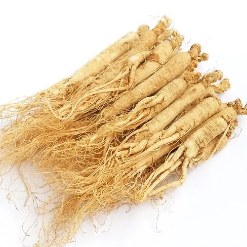 Hochwertiger Ginseng aus Chang bai Mountain Jilin China