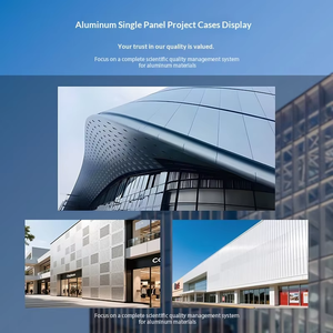 Professionell Angepasste Hyperbolische Perforierte Aluminiumlegierungs-Einzelplatten für Architektonische Außendekoration Vorhangfassaden - Product Image 5