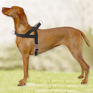 Coco Buddy Thân Thiện Với Môi Hữu Cơ Cây Gai Dầu Bông Con Chó Khai Thác Bền An Toàn Vật Nuôi Vest Nhanh Chóng Phù Hợp Cao End Người Bán Tốt Nhất Cá Nhân - Product Image 5